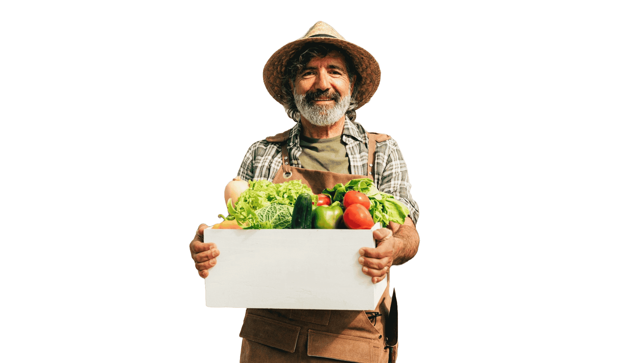 Work in Canada for foreigners